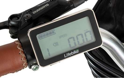 Display Lcd Lifebike